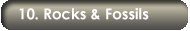 Link to Rocks and Fossils