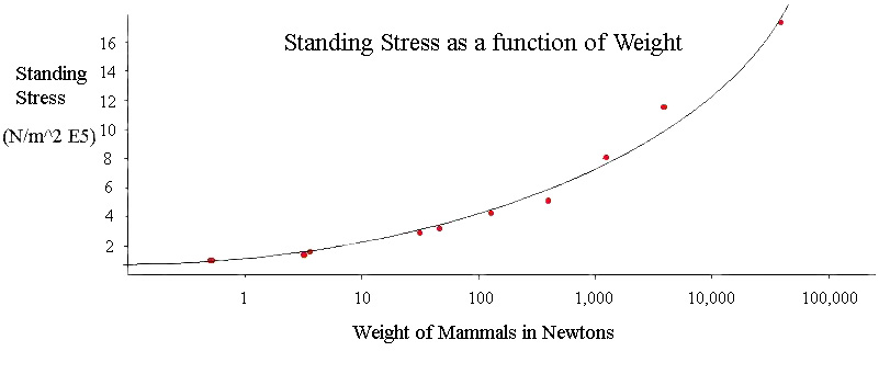 Graph of Standing Stress as a Function of Weight