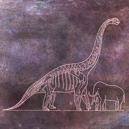 Paradox of Large Dinosaurs